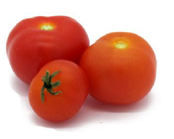 tommarola_market_tinytim.png