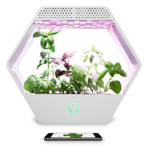 An exagonal grow box called Linfa with LEDs and various plants living inside it